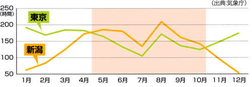 日照時間比較グラフ　新潟と東京の比較